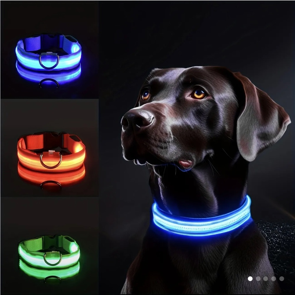 Led dog collars blue dog accessories adjustable